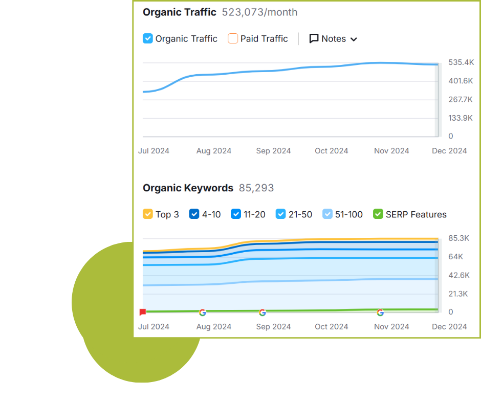 SEO Case Studies 01